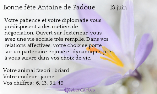 Carte bonne fête Antoine de Padoue